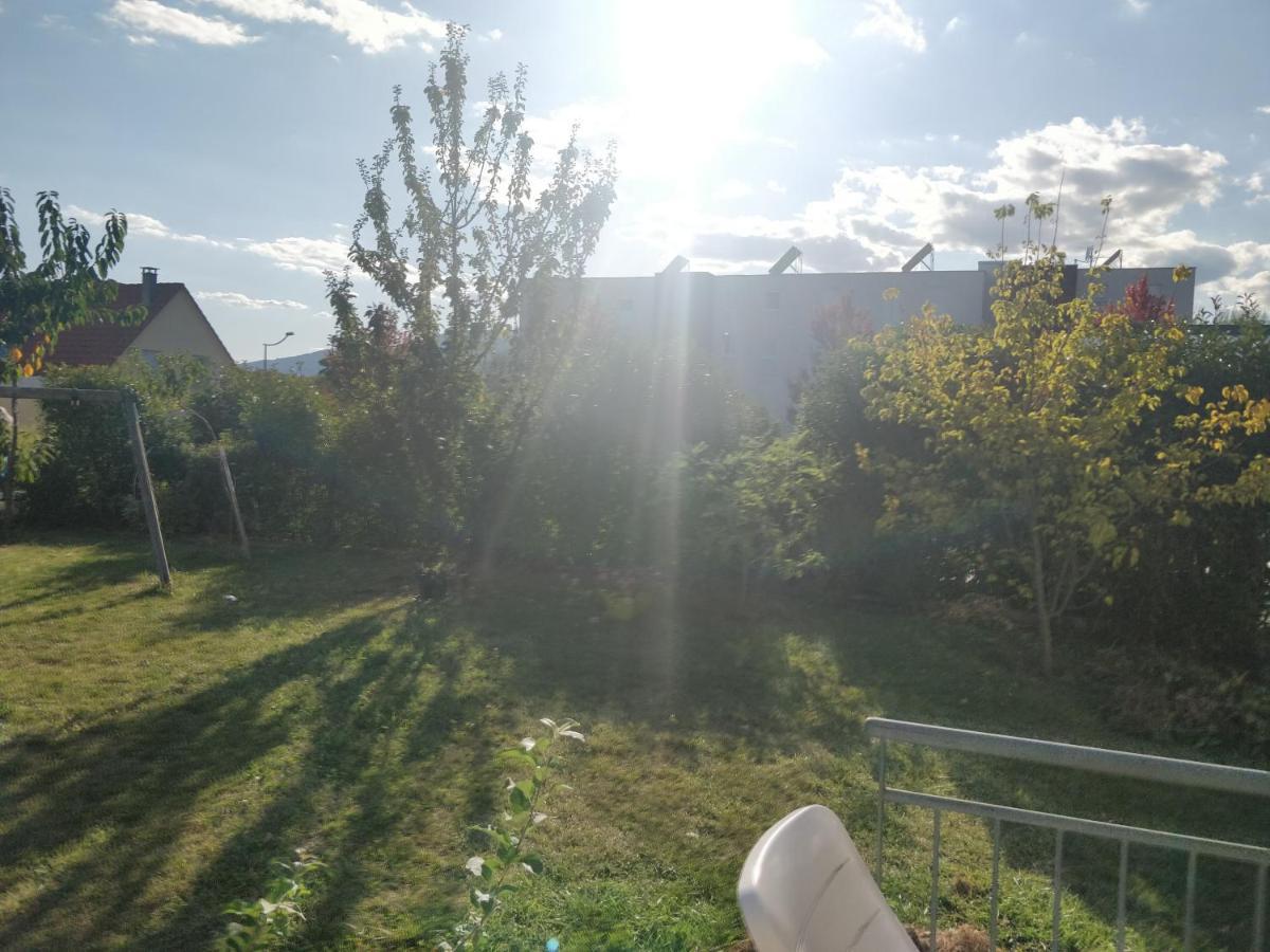 Tres Bel Appartement Neuf Et Moderne 63M2 A Obernai Ngoại thất bức ảnh